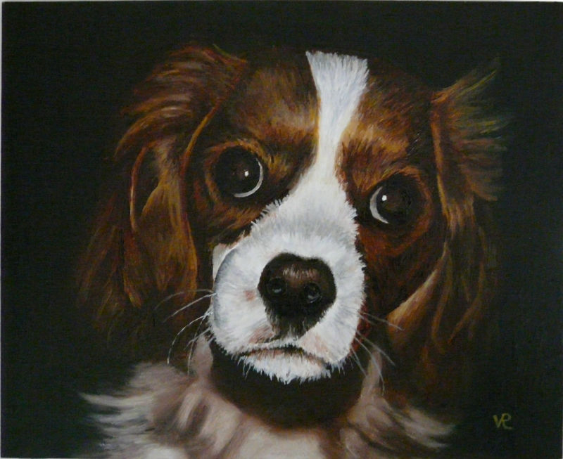 Pet Portrait - Harley